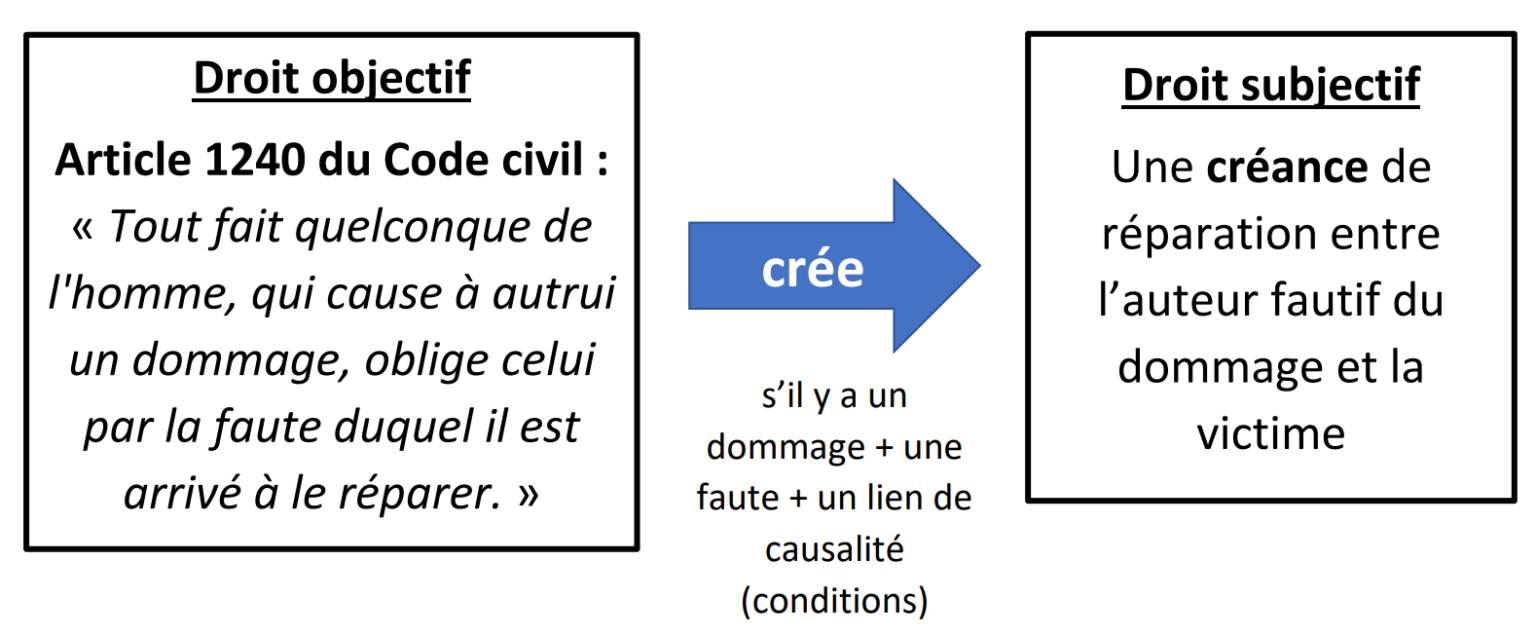 Leçon 6 : Les droits subjectifs - Jurisfac